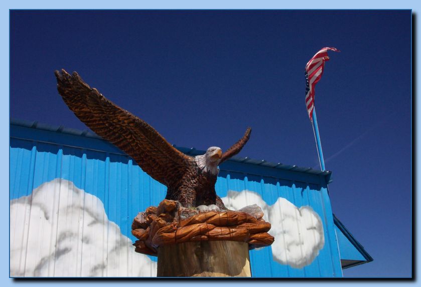 2-15 eagle with wings out, attached -archive-0001
